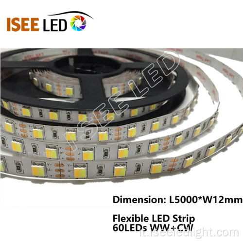 Lampade flessibili a LED con 60 LED / m SMD5050